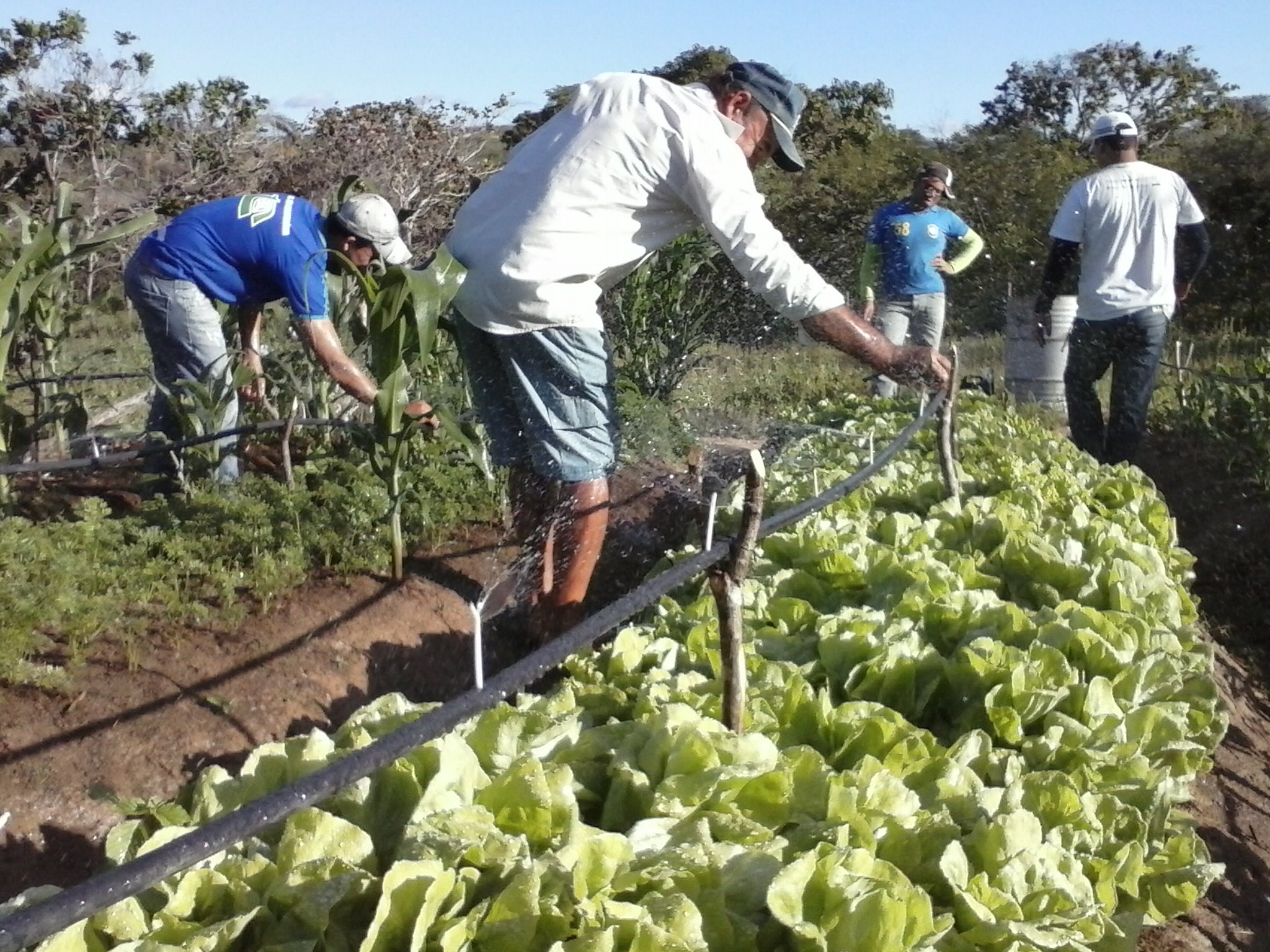 Novas mandalas são instaladas pela Ematerce
