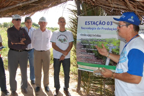 Ematerce realiza dia de campo de mandioca em Itarema
