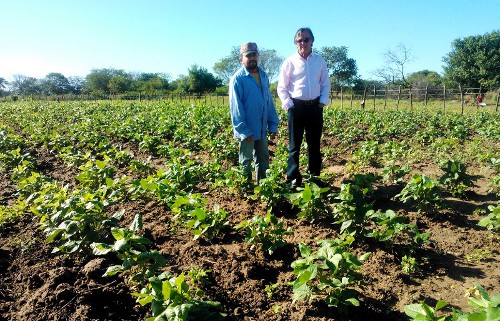 Mautiti:exemplo de agricultura familiar
