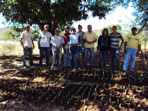 Várzea Alegre: Ematerce instala unidade de palma forrageira e sorgo