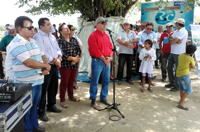 Ibaretama: Ematerce no Dia de Campo sobre Algodão de Sequeiro