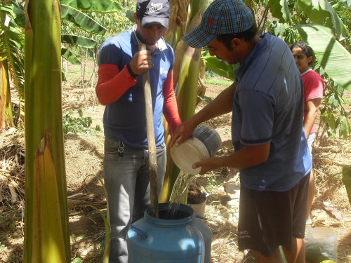Assaré: técnicos da Ematerce orientam prática de biofertilizante