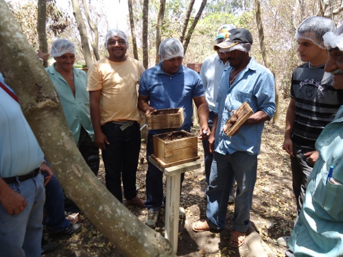 1º Dia Especial da Meliponicultura e Apicultura de Nova Olinda