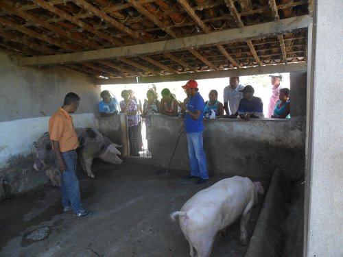Jardim: Ematerce capacita agricultores do PBSM- lote 2