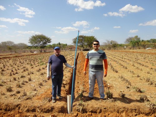 Ematerce, Mauriti orienta plantio de Mandioca irrigada para a produção de batata e maniva