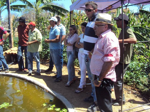 Intercâmbio técnico sobre projeto mandala