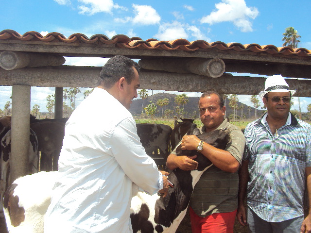 Aracati: lançada campanha contra a febre aftosa