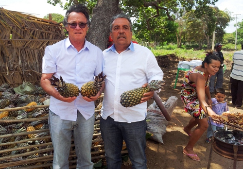 .Ematerce promove dia de campo sobre abacaxi