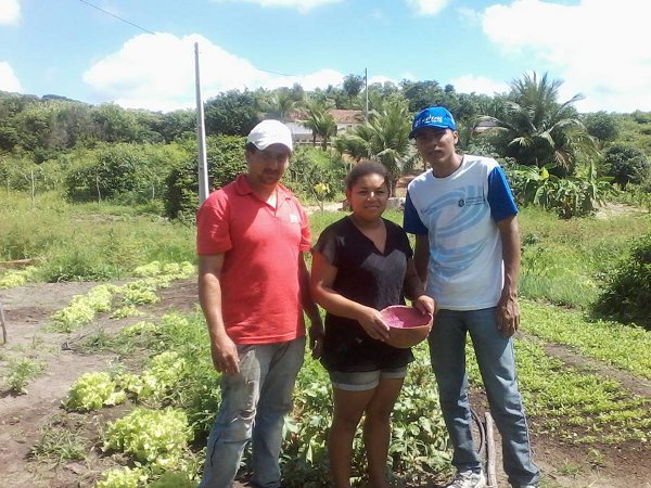 Assaré: agricultores familiares satisfeitos com cultivo orgânico de hortaliças