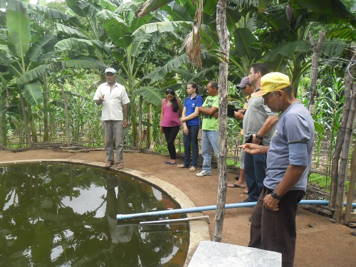 Sobral: Ematerce realiza intercâmbio técnico