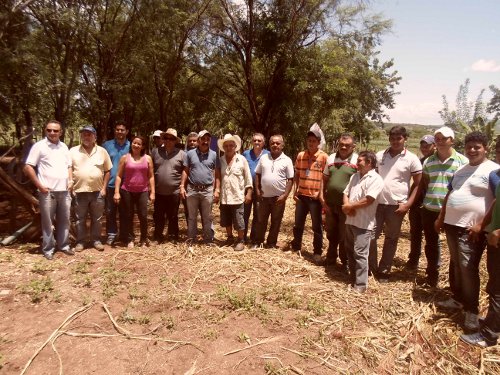 REGIONAL CARIRI-LESTE COLHE PRIMEIROS RESULTADOS COM PRODUÇÃO DE SILAGEM