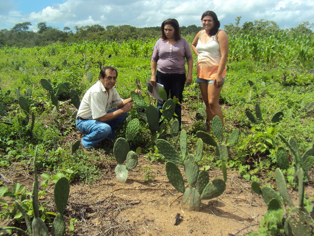 Apuiarés: agricultor, assistido pela Ematerce, serve de exemplo para outros colegas