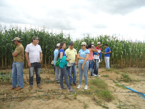 Dia de campo sobre silagem é realizado em São João do Jaguaribe