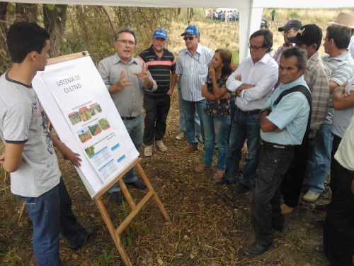 Crato:Ematerce realiza dia de campo de palma forrageira