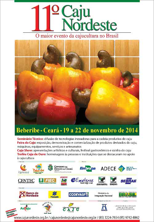 11º Caju Nordeste: Ematerce participa com destaque