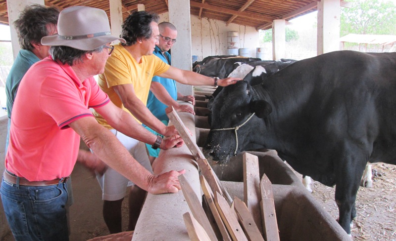 Presidente da Ematerce visita propriedades que exploram bovinocultura