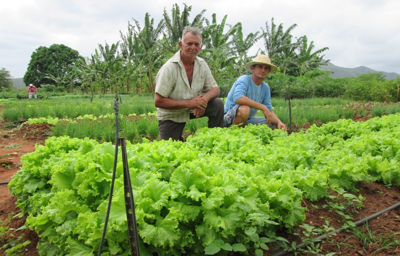 Piquet Carneiro: Dia “D” da Agricultura Familiar