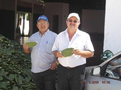 Cedro: Ematerce e Secretaria da Agricultura entregam sementes de palma forrageira