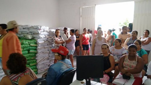 São João do Jaguaribe: Ematerce inicia distribuição de sementes