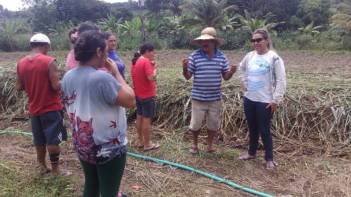 Ibiapina: Ematerce realiza treianamento sobre agricultura orgânica