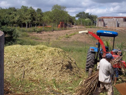 LAVRAS DA MANGABEIRA: MECANIZAÇÃO AGRÍCOLA EM CONVIVÊNCIA COM O SEMIÁRIDO