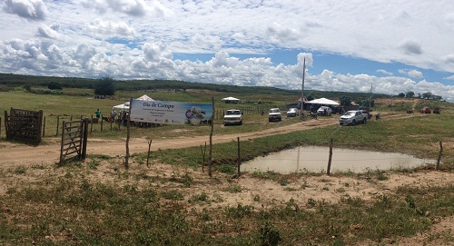 Piquet Carneiro:Dia de Campo sobre alimentação de animais