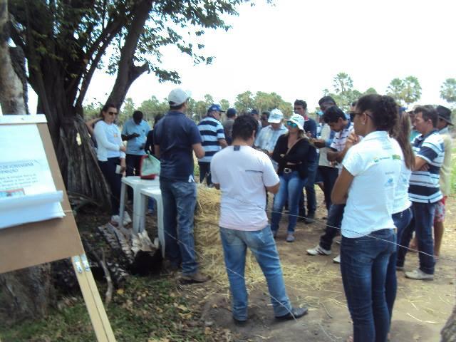 Quixeré: Ematerce, em parceria, realiza Dia de Campo sobre Pecuária Leiteira na Agricultura Familiar