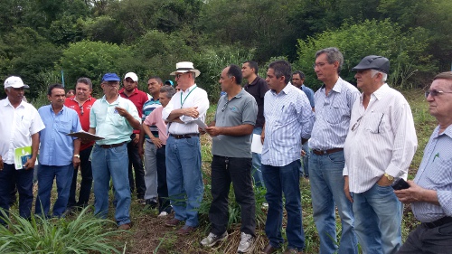 EMATERCE REGIONAL CARIRI-CENTRO REALIZA DIA DE CAMPO SOBRE MANDIOCULTURA