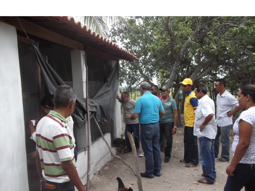 Juazeiro do Norte: Ematerce participa de curso de avicultura