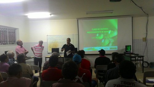 Ematerce: Curso de Cultivo de Mandioca com maniva-semente