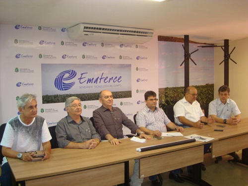 Ceará consegue vacinar 92% do rebanho bovino contra a febre aftosa