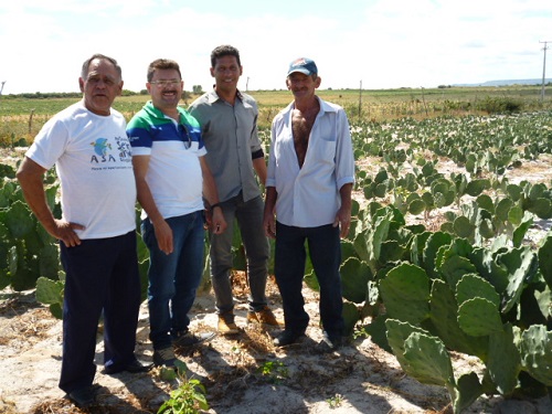 Ematerce incentiva plantio de palma forrageira em Salitre