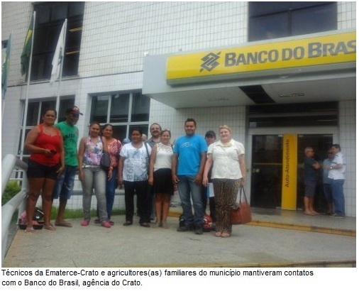Ematerce e Conab asseguram preços minimos para macaúba
