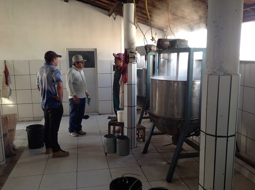 Agroindustria de doce de leite assistida pela Ematerce,em Quixeramobim
