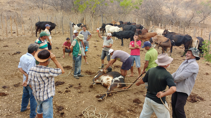 CRATO: EMATERCE E SENAR/CE CAPACITAM AGRICULTORES
