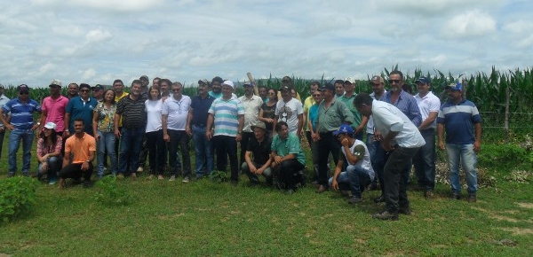 Porteiras: Ematerce promove Dia de Campo sobre Milho transgênico
