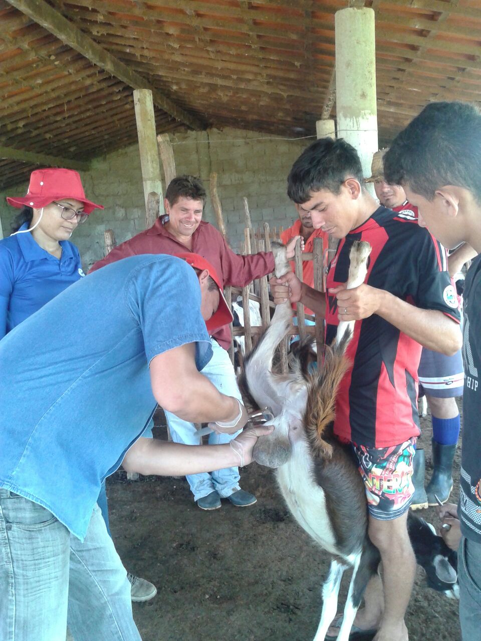 Sobral: Ematerce realiza capacitações para agricultores e jovens