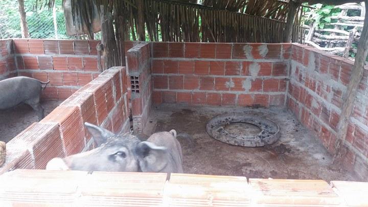 Pacujá: experiência exitosa do Programa Brasil Sem Miséria