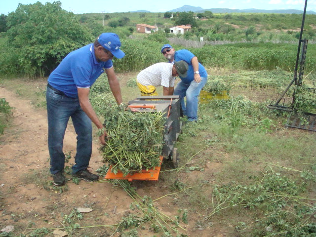 SDA e Ematerce realizam Dia de Campo sobre Fenação, em Canindé