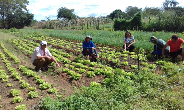 Tauá: Chamada Pública para seleção de agricultores