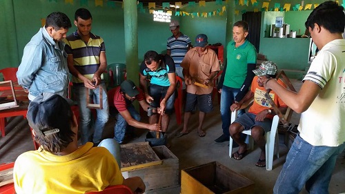 Técnicos da Ematerce e Prefeitura de Araripe são treinados em apicultura