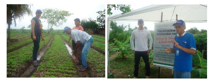 Ematerce realiza dia de campo sobre PIMP,em Quixeré.