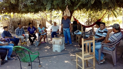 Prefeitura de Paraipaba e Ematerce promovem curso de apicultura