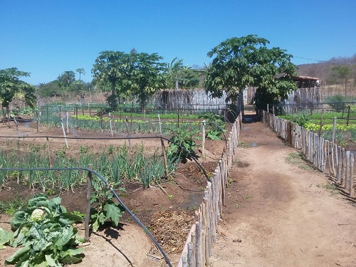 Ematerce promove Dia de Campo em Quiterianópolis