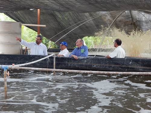 Diretoria da Ematerce visita criatório de peixe em Jaguaribara