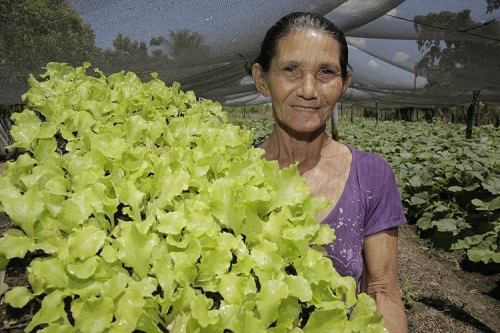 Pnae transforma vida de agricultora no sertão do Ceará