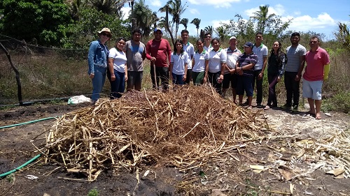 Visita técnica incentiva técnica de compostagem