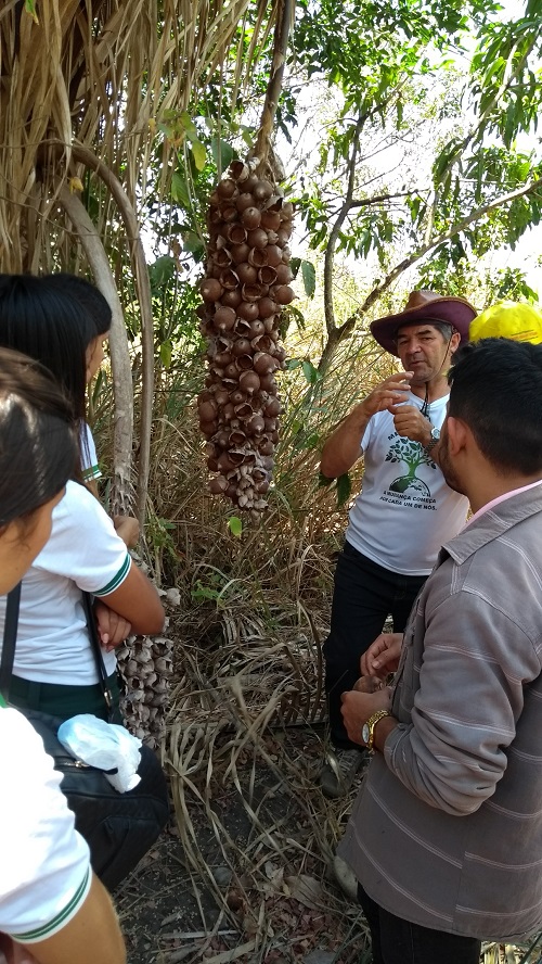 Dia de Campo promove intercâmbio na comunidade Xique-xique em São Benedito