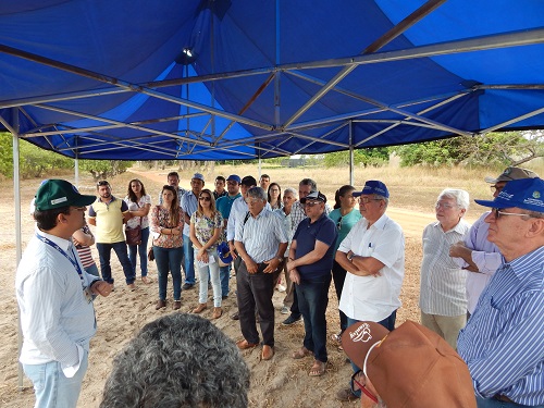 Ematerce participa de Dia de Campo sobre mecanização na cajucultura