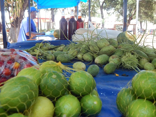 Alcântaras recebe Feira da Agricultura Familiar